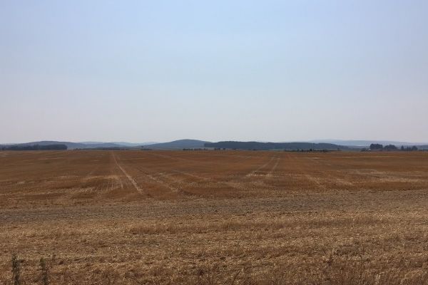Trockenheit im Osten Österreichs - Felder