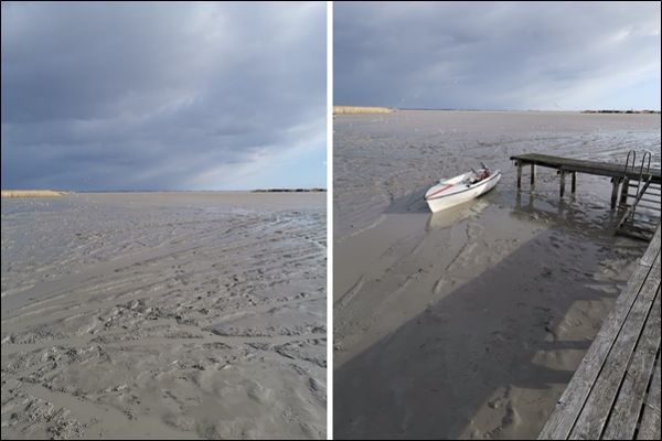 Ruster Bucht am 30. Jänner 2022. Wasserstand Neusiedler See