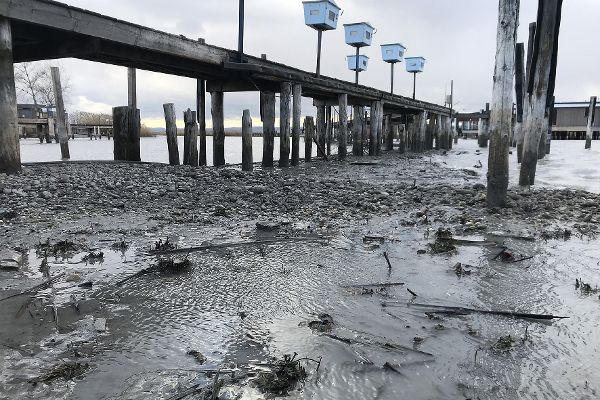 Steg beim Yacht Club Neusiedler See