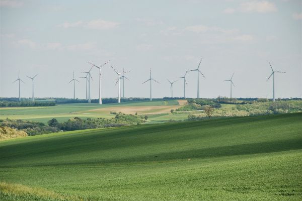 Landschaft im Weinviertel. Felder, Getreide und Windpark.