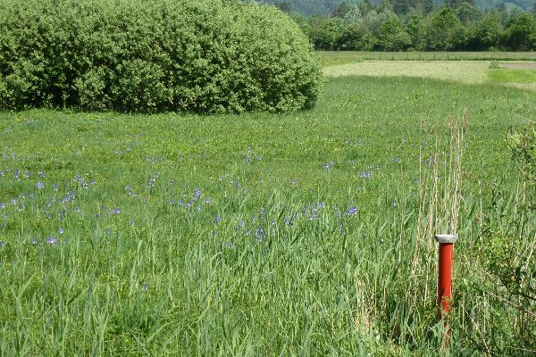 Grundwassermessstelle Nenzing Vorarlberg
