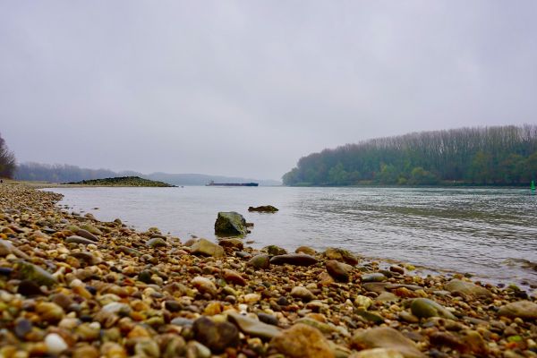 Niederwasser an der Donau im November 2018