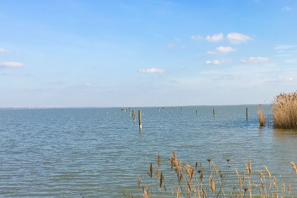 Einfahrt in den Hafen Purbach am Neusiedler See