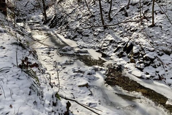 Winterstimmung im Dambachgraben (Wienerwald-Weidlingbach)