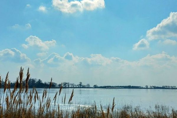 Titelbild 0225