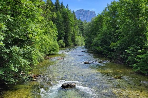 Grundlseer Traun (Steiermark)