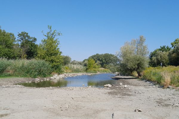 Leitha bei Deutsch Jahrndorf-Karlhof