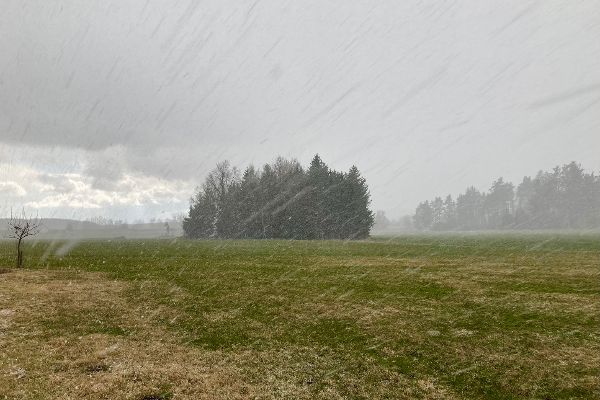 Landschaft im Waldviertel mit Graupelschauer im April 2021