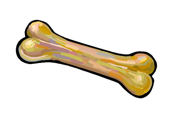 Knochen