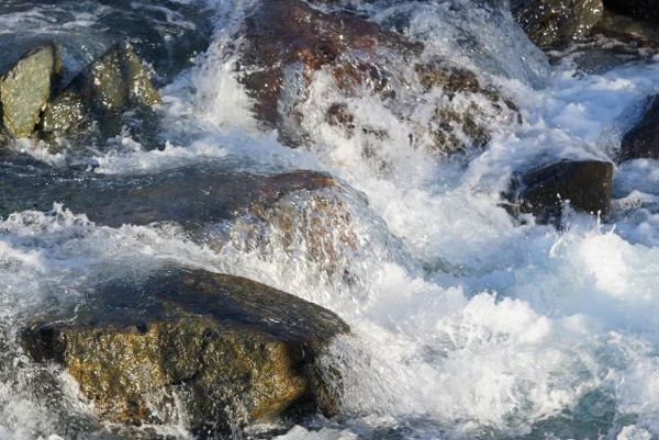Gössering; Wasserüberflossene Steine im Bachbett 