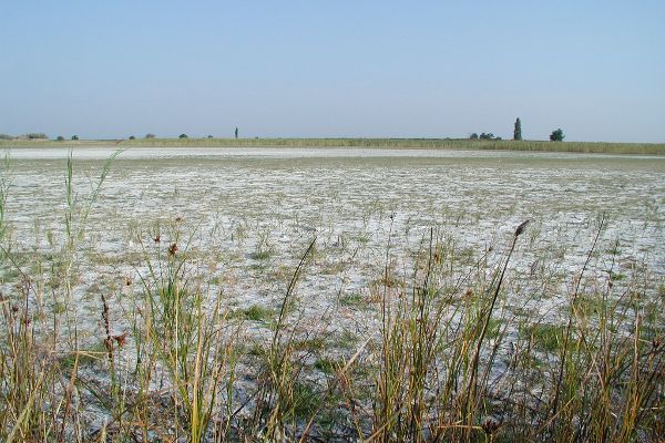 Salzlacke