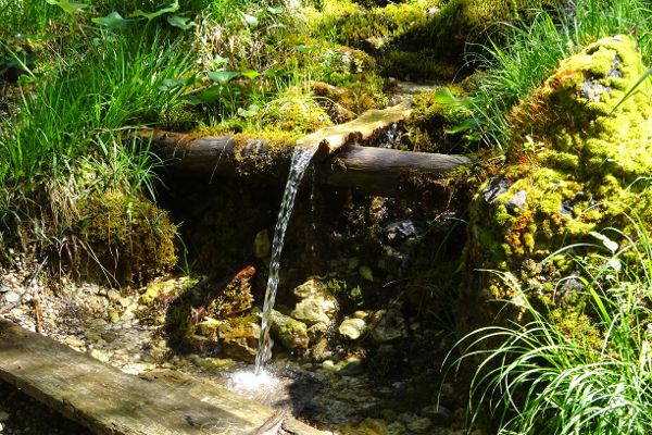 Karstquelle Gailtaler Alpen bei Jadersdorf