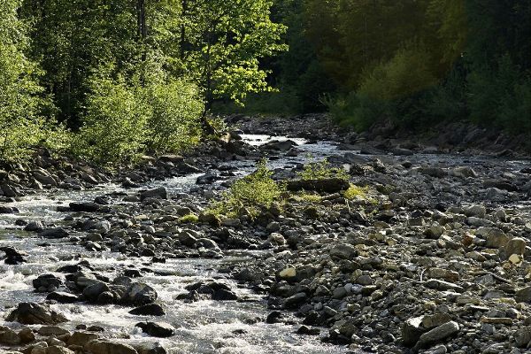 Mellau