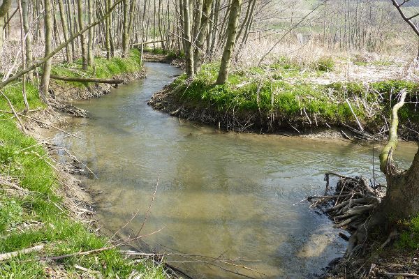 Rußbach bei Schleinbach