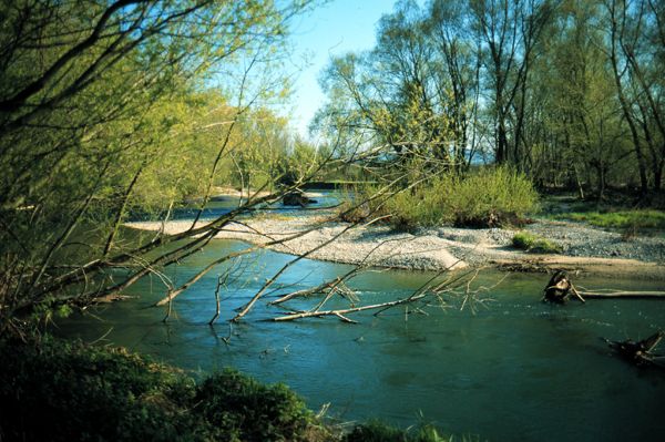 Flusslandschaft, kleiner Bach