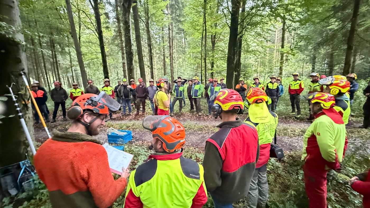 Forstliche Arbeitslehrende bei der praktischen Umsetzung im Wald mit entsprechender Schutzausrüstung