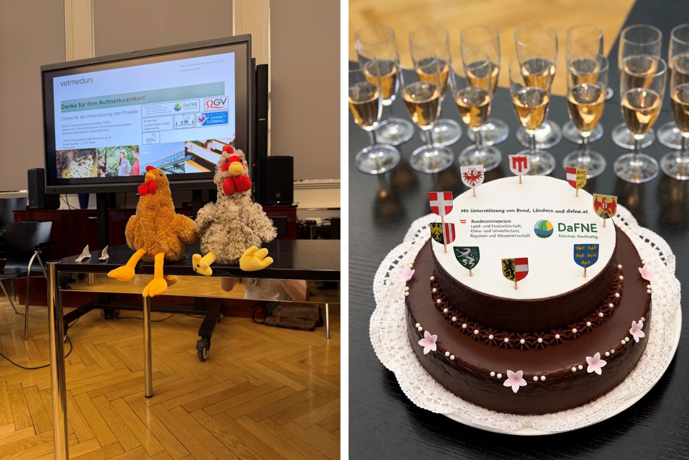 Bild der Probehühner, und Kuchen zur Verabschiedung einiger Teilnehmer:innen