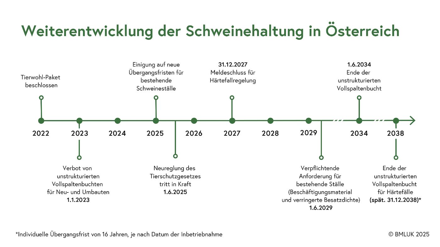 Zeitachse Schweinehaltung Österreich