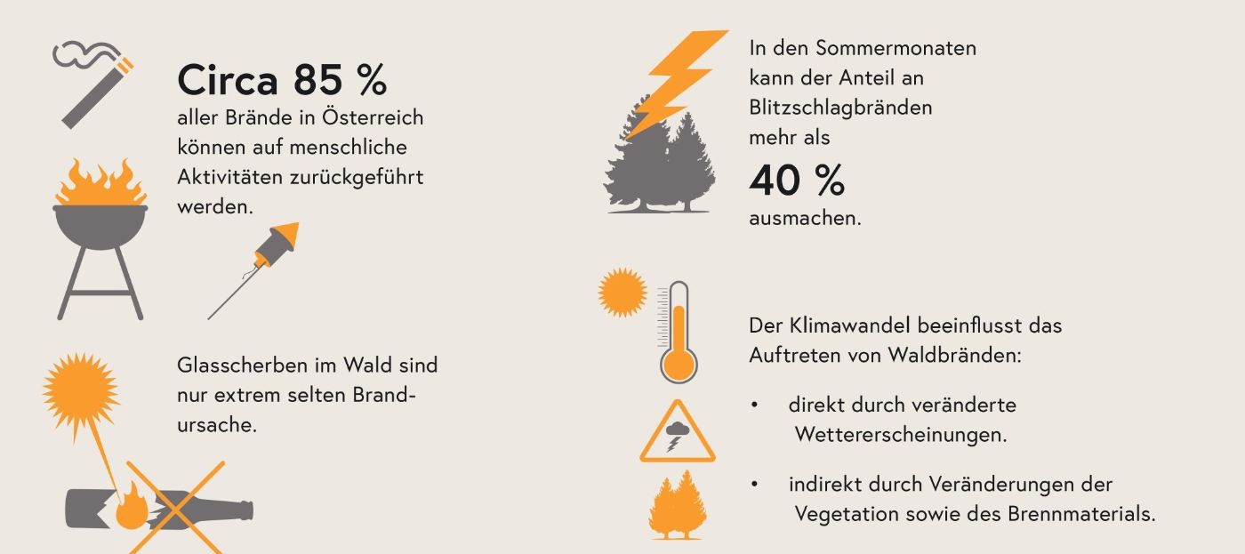 Infografik zu Waldbränden in Österreich: Rund 85 % der Brände werden durch menschliche Aktivitäten verursacht (z. B. Rauchen, Grillen, Feuerwerk). Glasscherben sind nur selten Brandursache. In den Sommermonaten können über 40 % der Brände durch Blitzschlag entstehen. Zudem zeigt die Grafik, dass der Klimawandel Waldbrände durch veränderte Wetterbedingungen sowie durch Veränderungen von Vegetation und Brennmaterial beeinflusst.