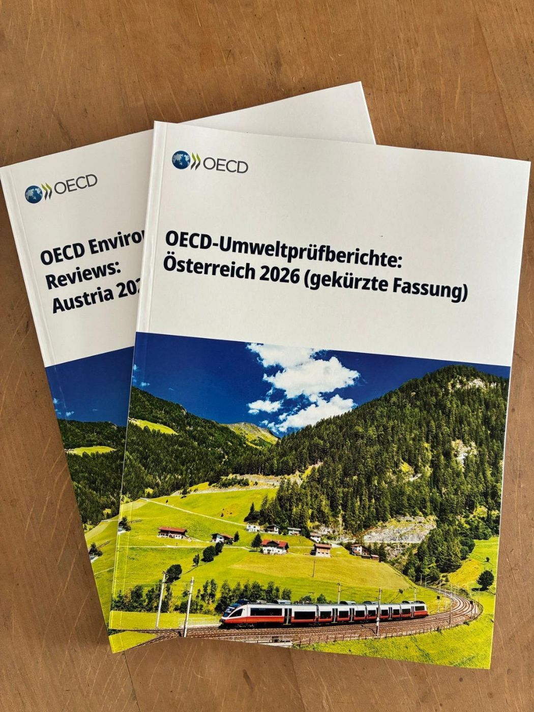 Umweltländerbericht OECD