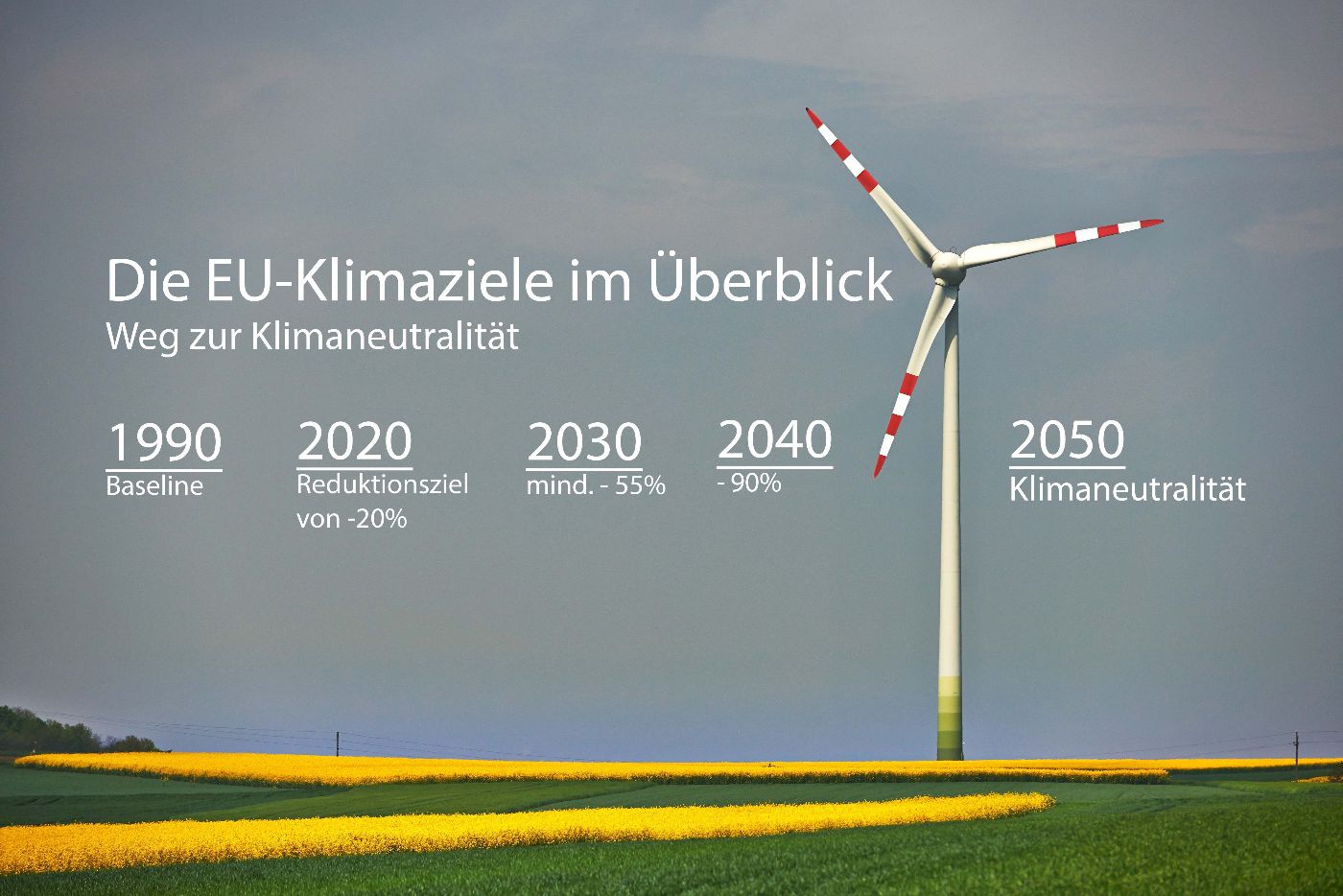 Windrad auf einem Feld mit gelben und grünen Pflanzen unter bewölktem Himmel und Text zu EU-Klimazielen von 1990 bis 2050