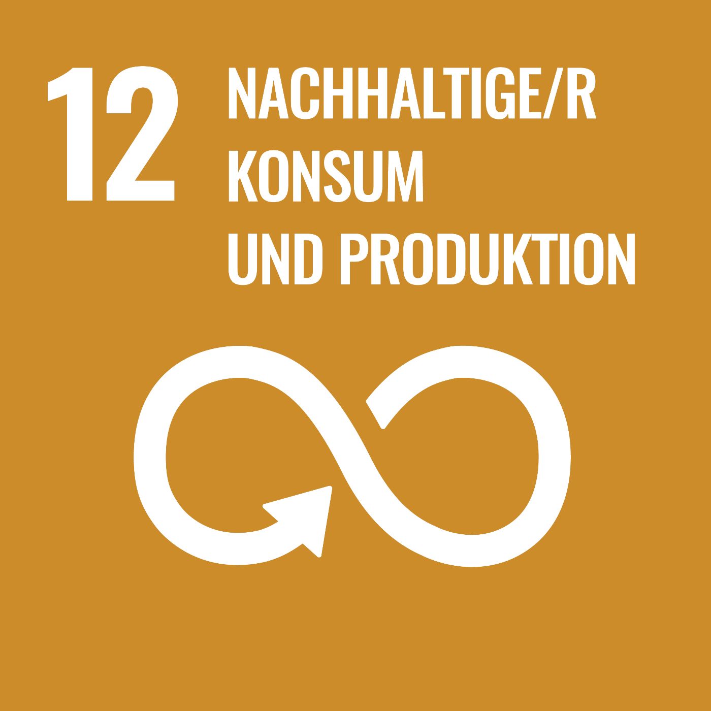 Logo Sustainable Development Goal 12 - Nachhaltige/r Konsum und Produktion