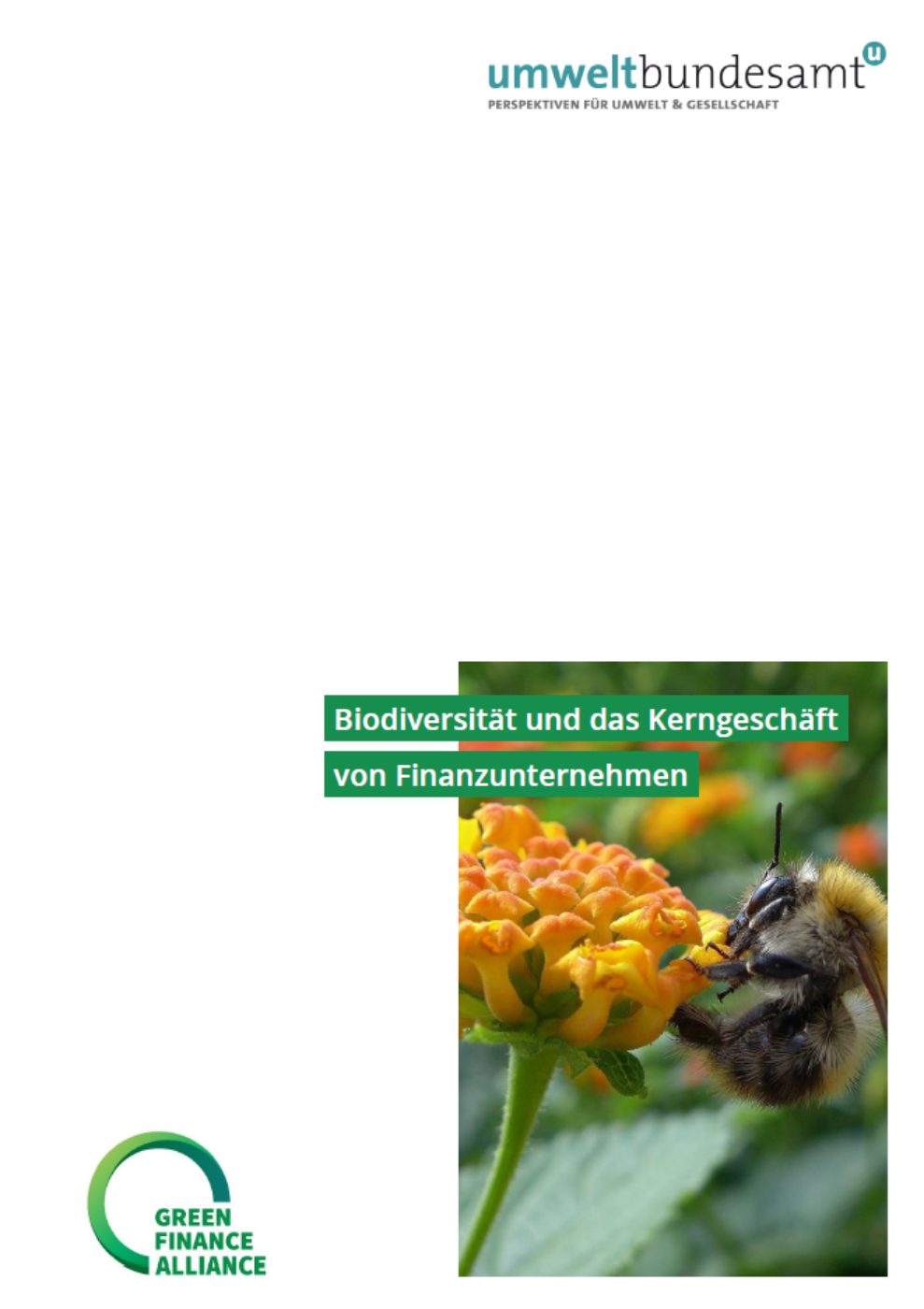 Titelbild Biodiversität und Finanzmarkt Leitfaden Biene und GFA-Logo