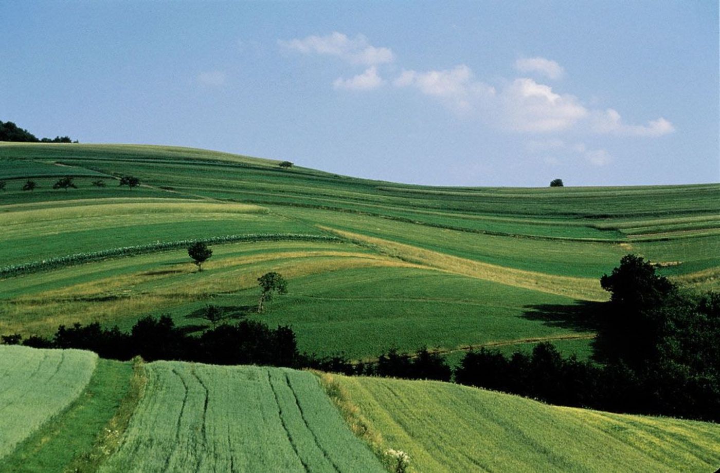 Gründland - Kulturlandschaft im Spätsommer