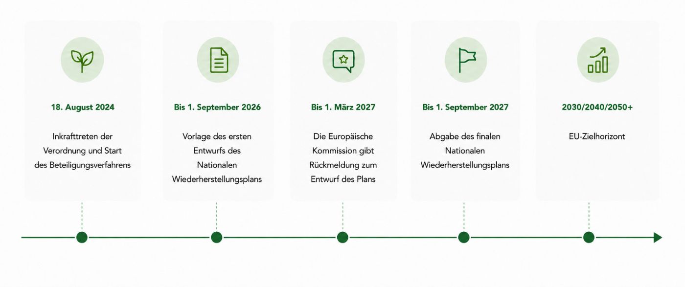 Zeitstrahl mit fünf Meilensteinen von August 2024 bis 2030/2040/2050 plus, jeweils mit grünem Symbol und Beschreibung zu Verordnung, Entwurf, Rückmeldung, Abgabe und EU-Zielhorizont