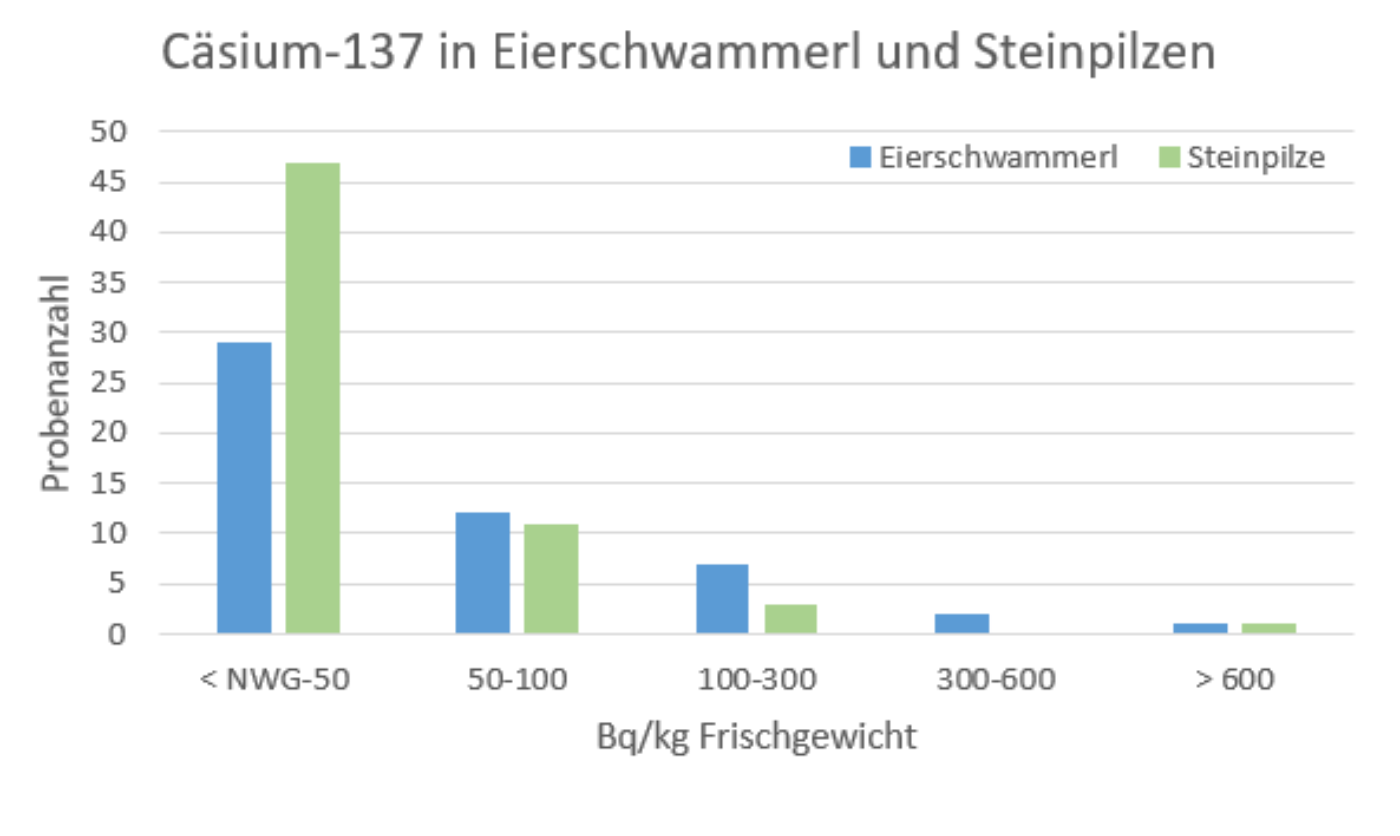 Verteilung der Cäsium-137-Aktivitätskonzentration in Eierschwammerlproben und Steinpilzen