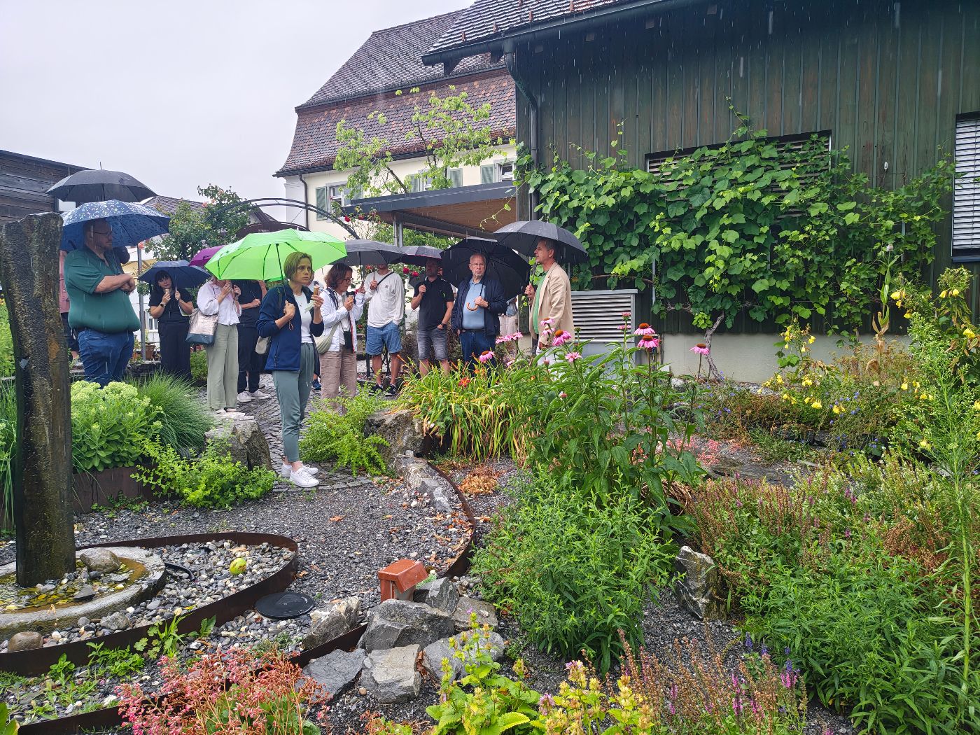 Eine Gruppe von Teilnehmenden steht im Regen mit aufgespannten Regenschirmen auf einem geschotterten Weg in Göfis. Sie lauschen einer Führung durch eine naturnahe Gartenanlage mit blühenden Stauden, einem Quellstein-Wasserspiel und Cortenstahl-Einfassungen. Rechts im Hintergrund steht ein dunkel verkleidetes Holzgebäude mit üppig berankter Fassade.