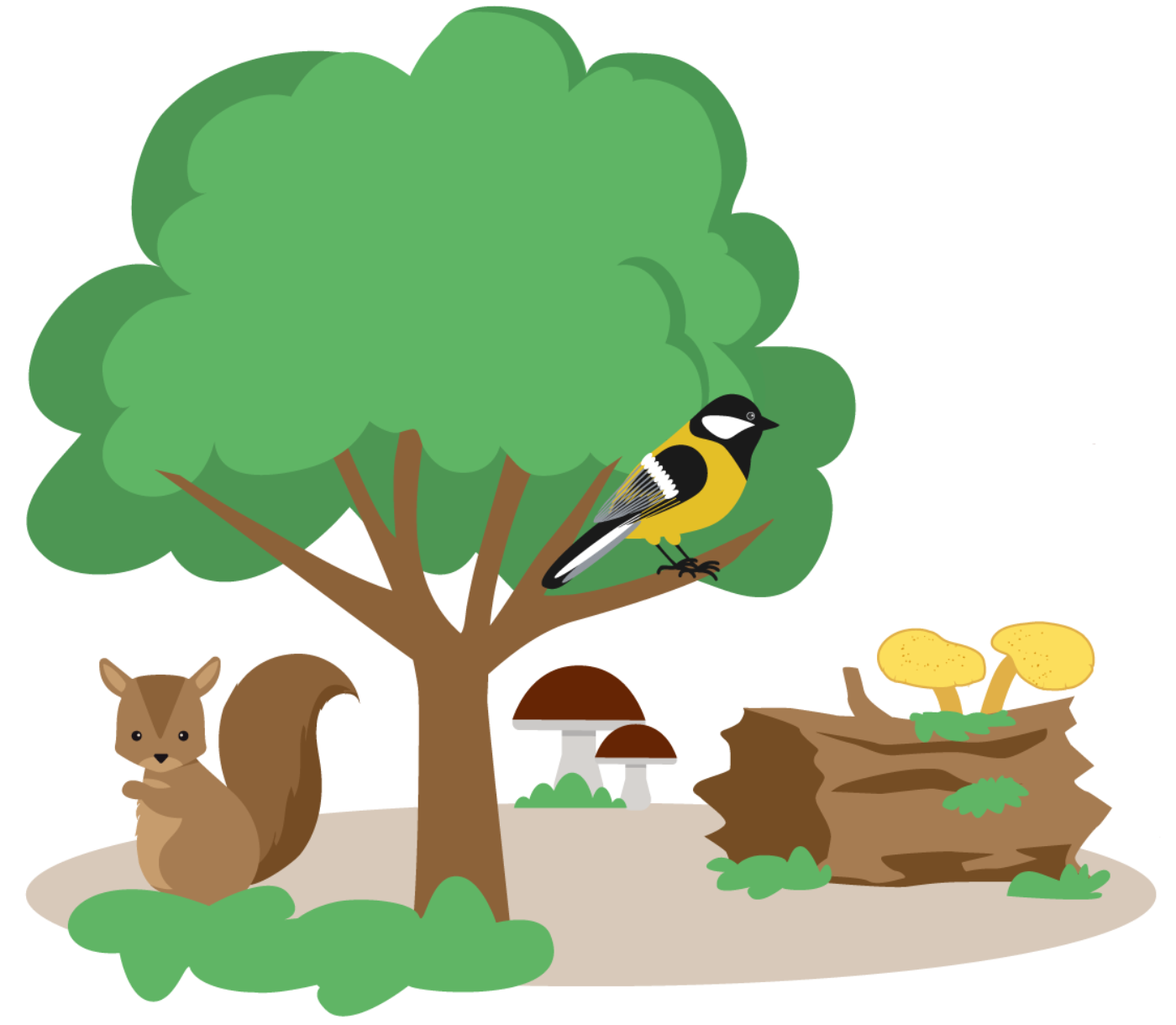 gezeichneter Baum mit Vogerl und Eichkätzchen