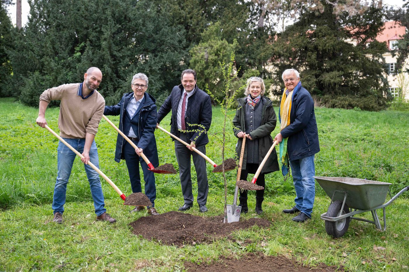 Fünf Menschen stehen rund um eine frisch gepflanzte Lärche im Garten Schönbrunn. Sie halten Schaufeln mit Erde.
