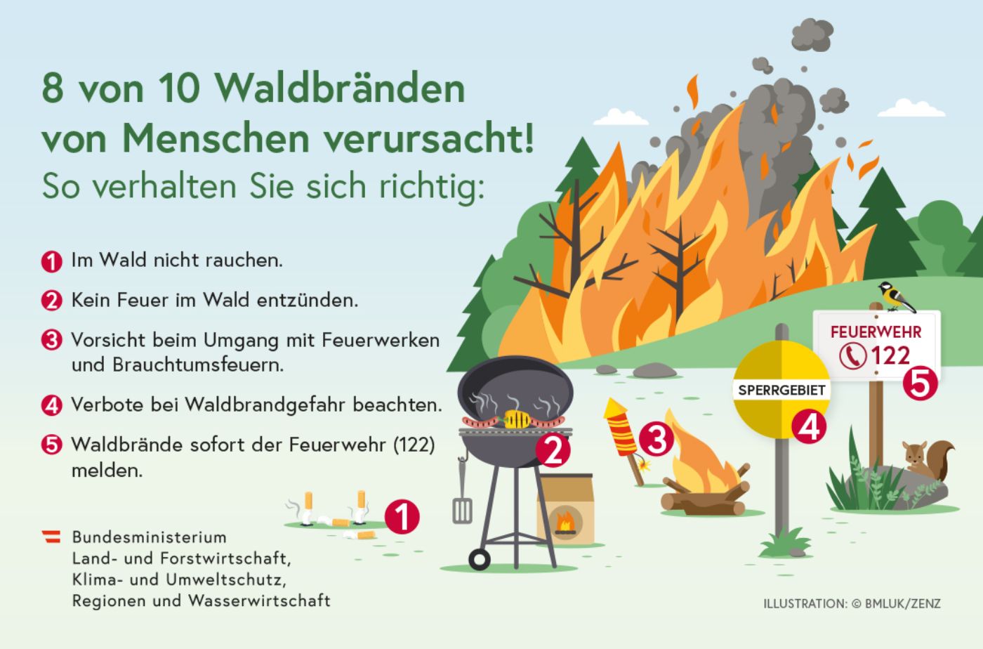 Poster: 8 von 10 Waldbränden von Menschen verursacht!