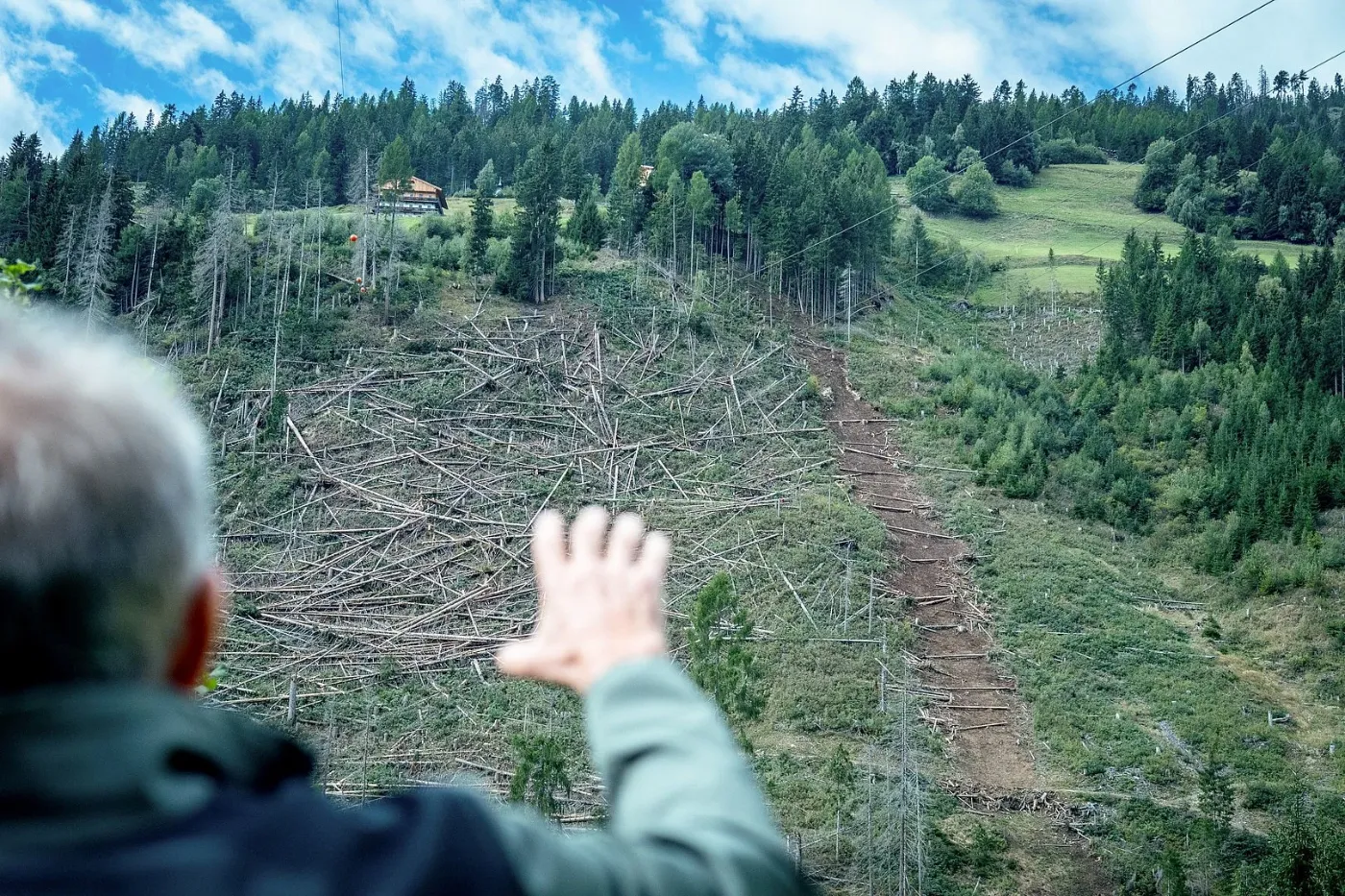 In den vergangenen Jahren wurde der Bestand des Vigeinwalds durch massive Schäden, insbesondere durch Borkenkäfer, stark beeinträchtigt.