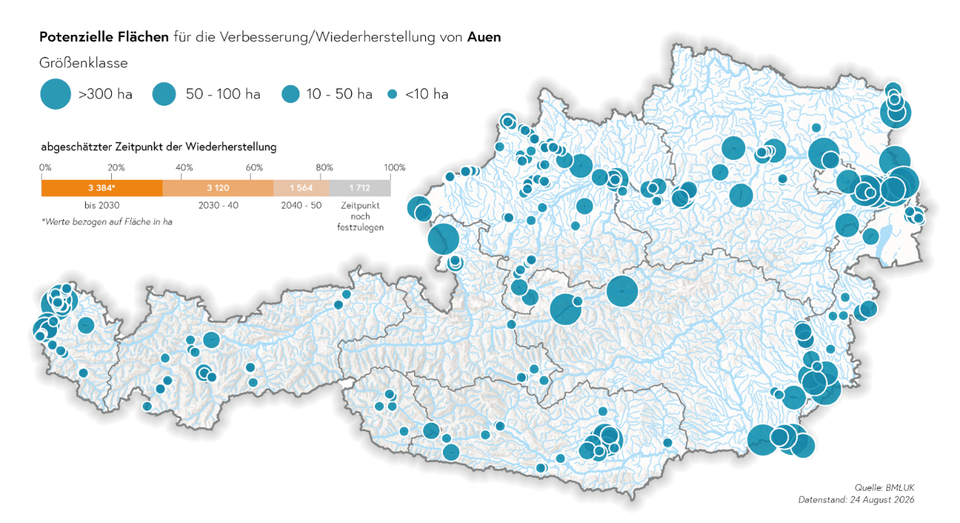 "Potenzielle Flächen für die Verbesserung/Wiederherstellung von Auen"