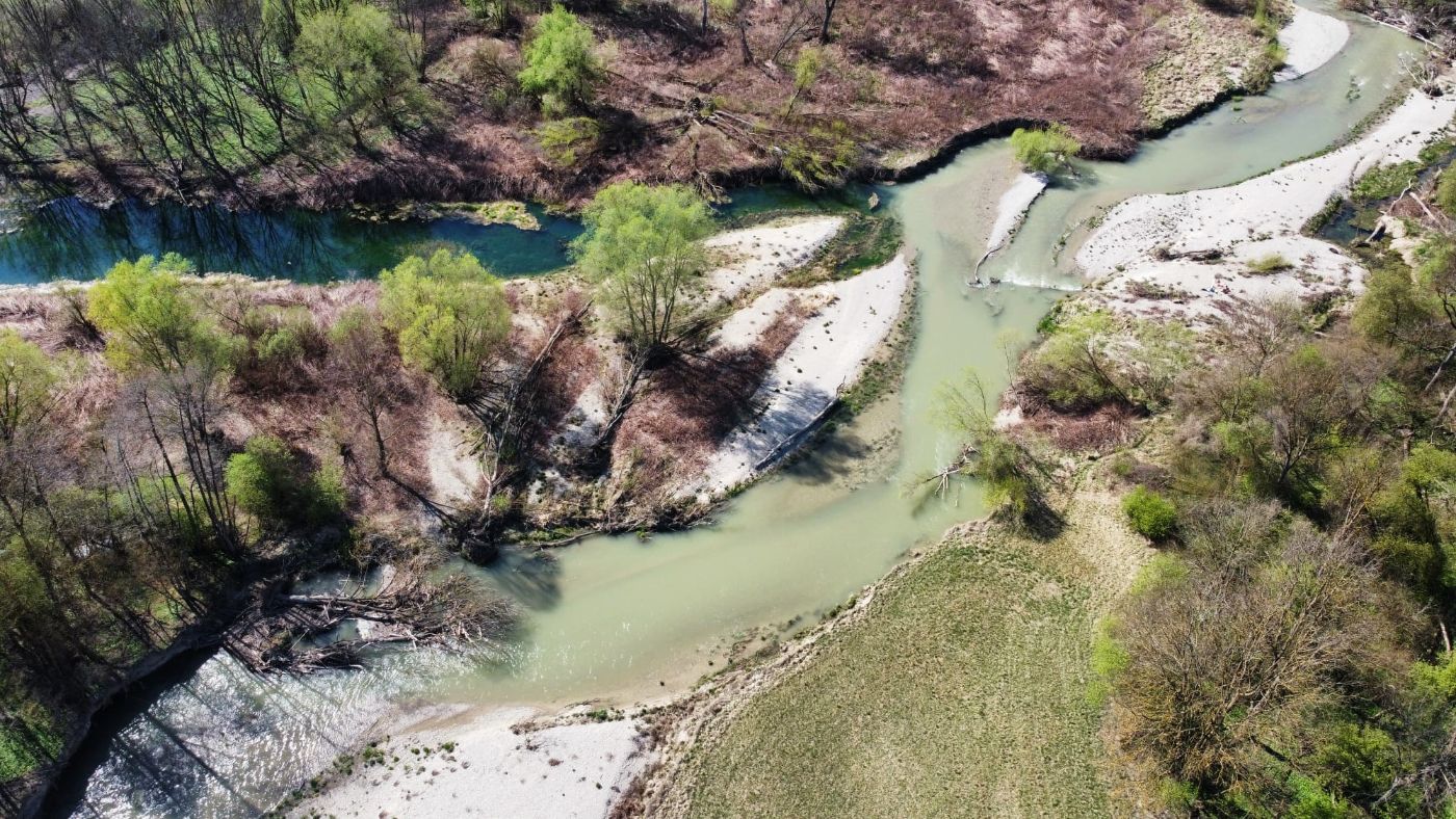 Zu sehen ist ein renaturierter Abschnitt der Pielach, der als Referenzstrecke zeigt, wie sich der Fluss nach einiger Zeit entwickelt.