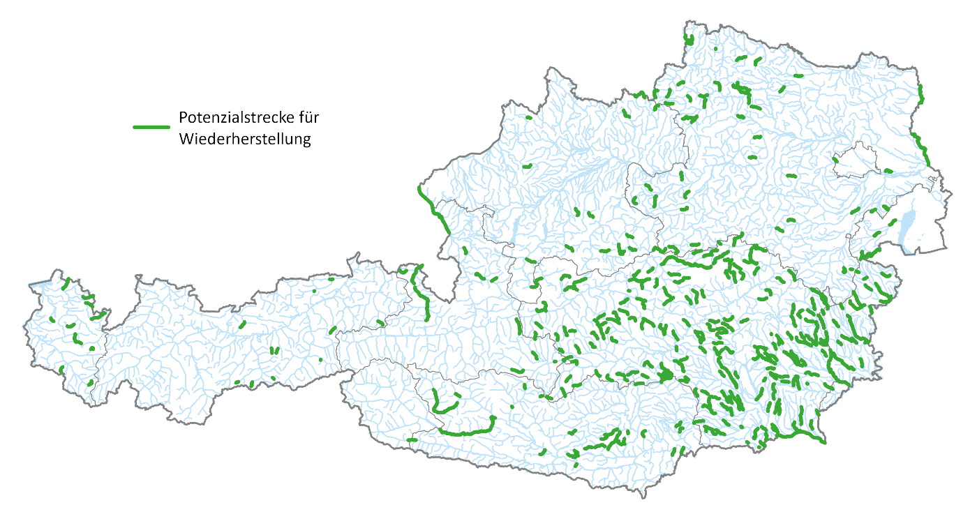 Karte mit Potenzialstrecken für die Wiederherstellung von frei-fließenden Flussabschnitten