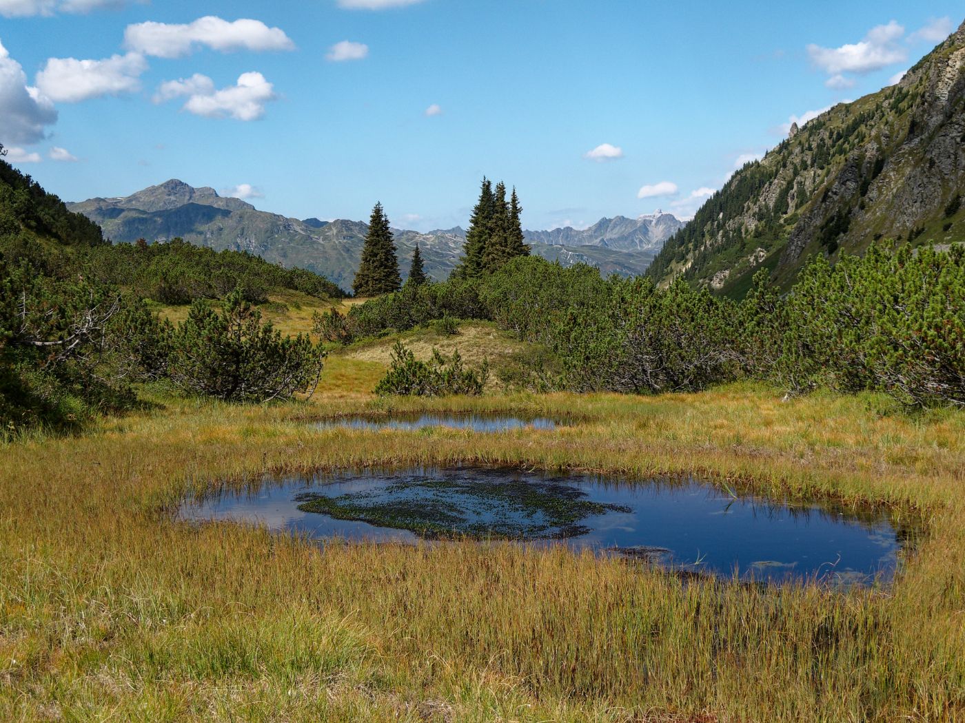 Zeinisjoch-Wiege in Vorarlberg