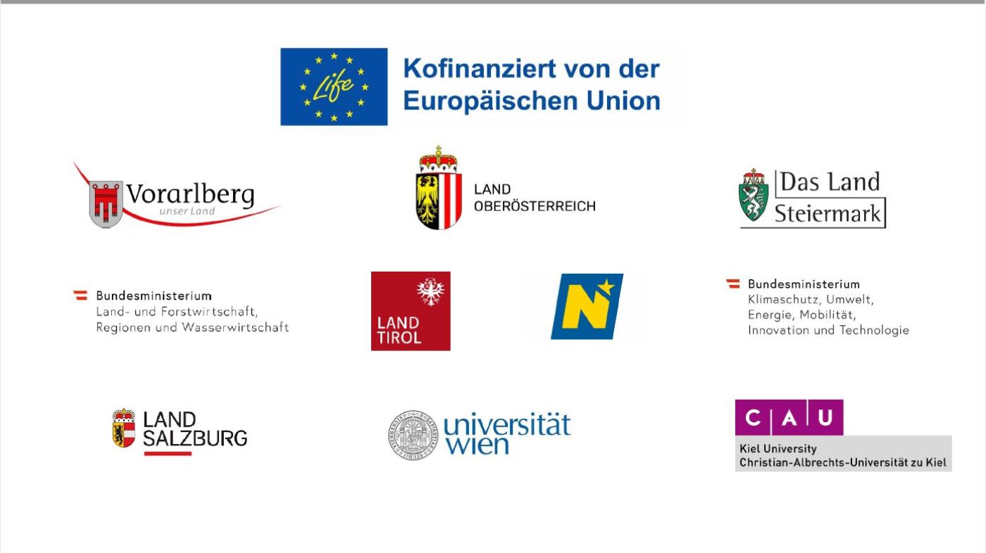 Logos