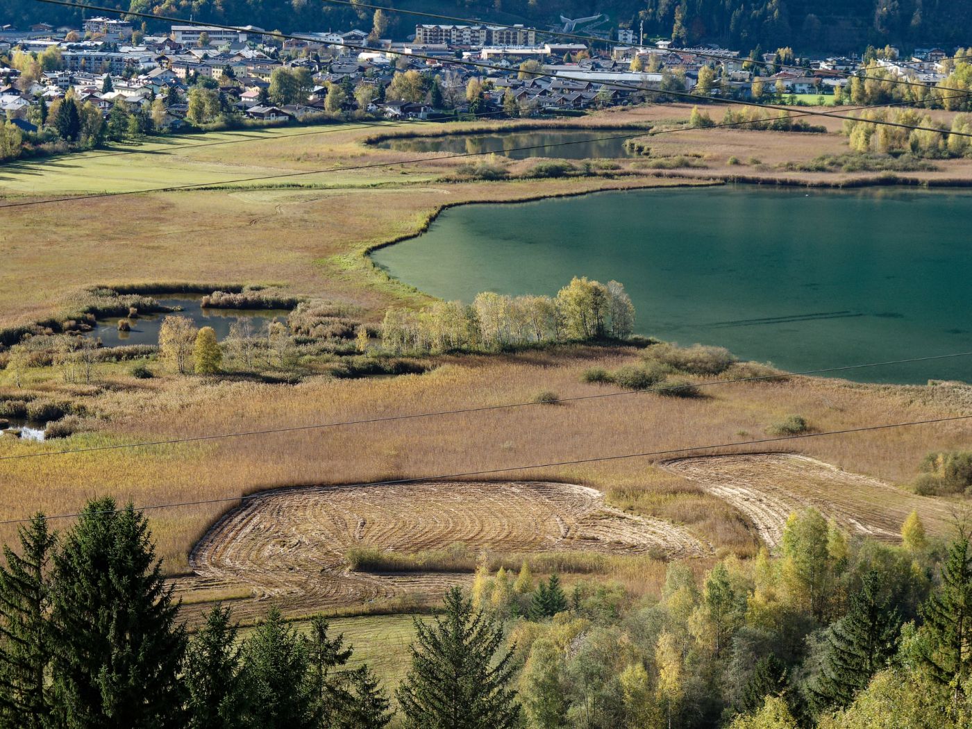 Südufer des Zellersee in Salzburg.