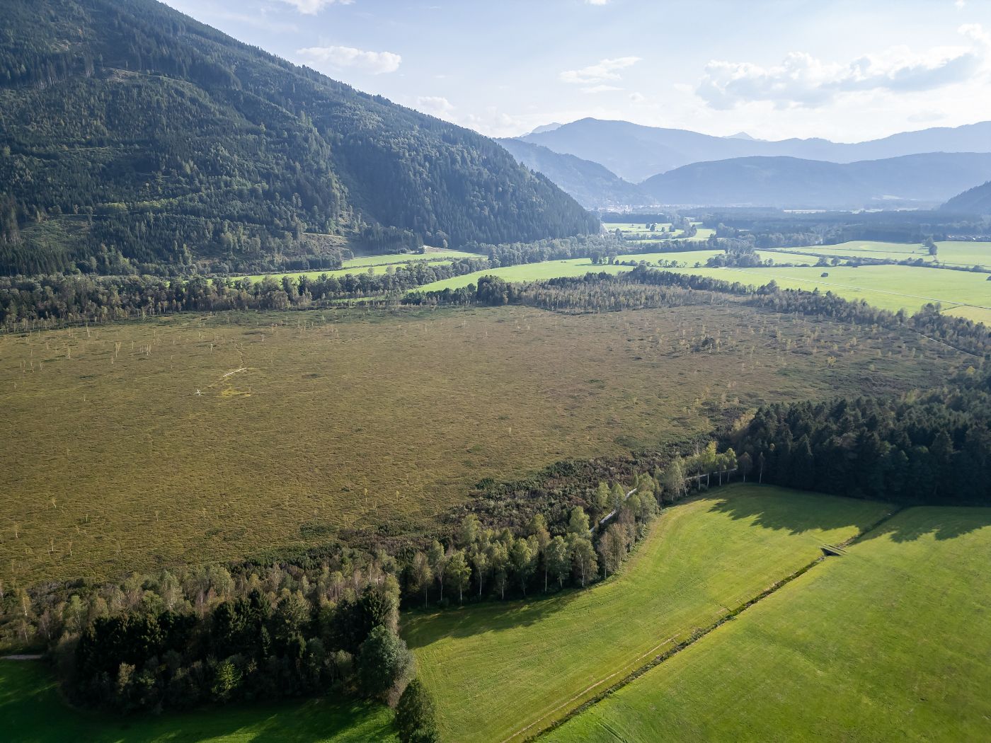 Drohnenaufnahme eines Moorgebietes, man sieht eine Waldfläche und Berge im Hintergrund.