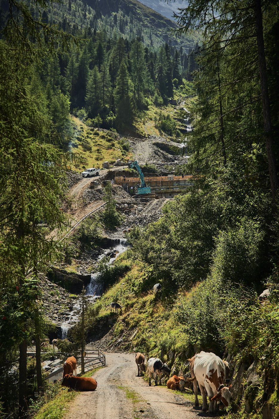 Wildbachverbauung