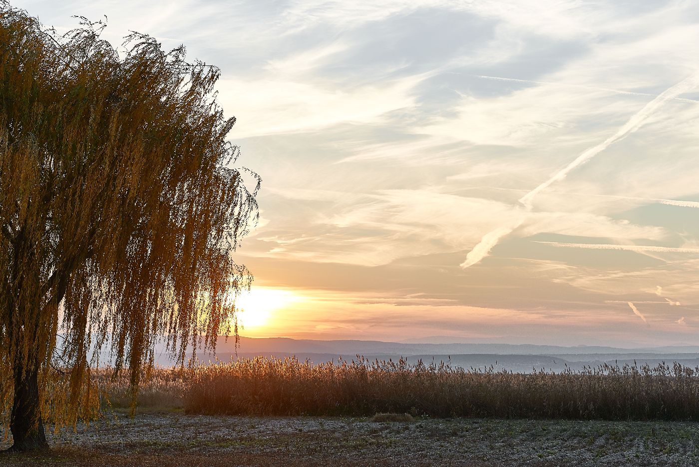 Neusiedlersee