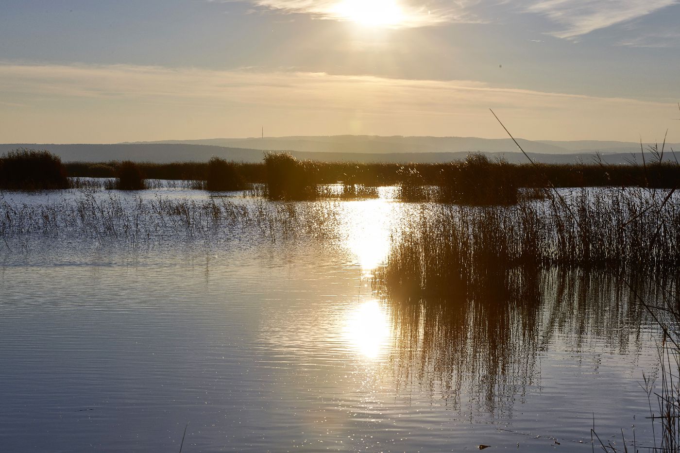 Neusiedlersee