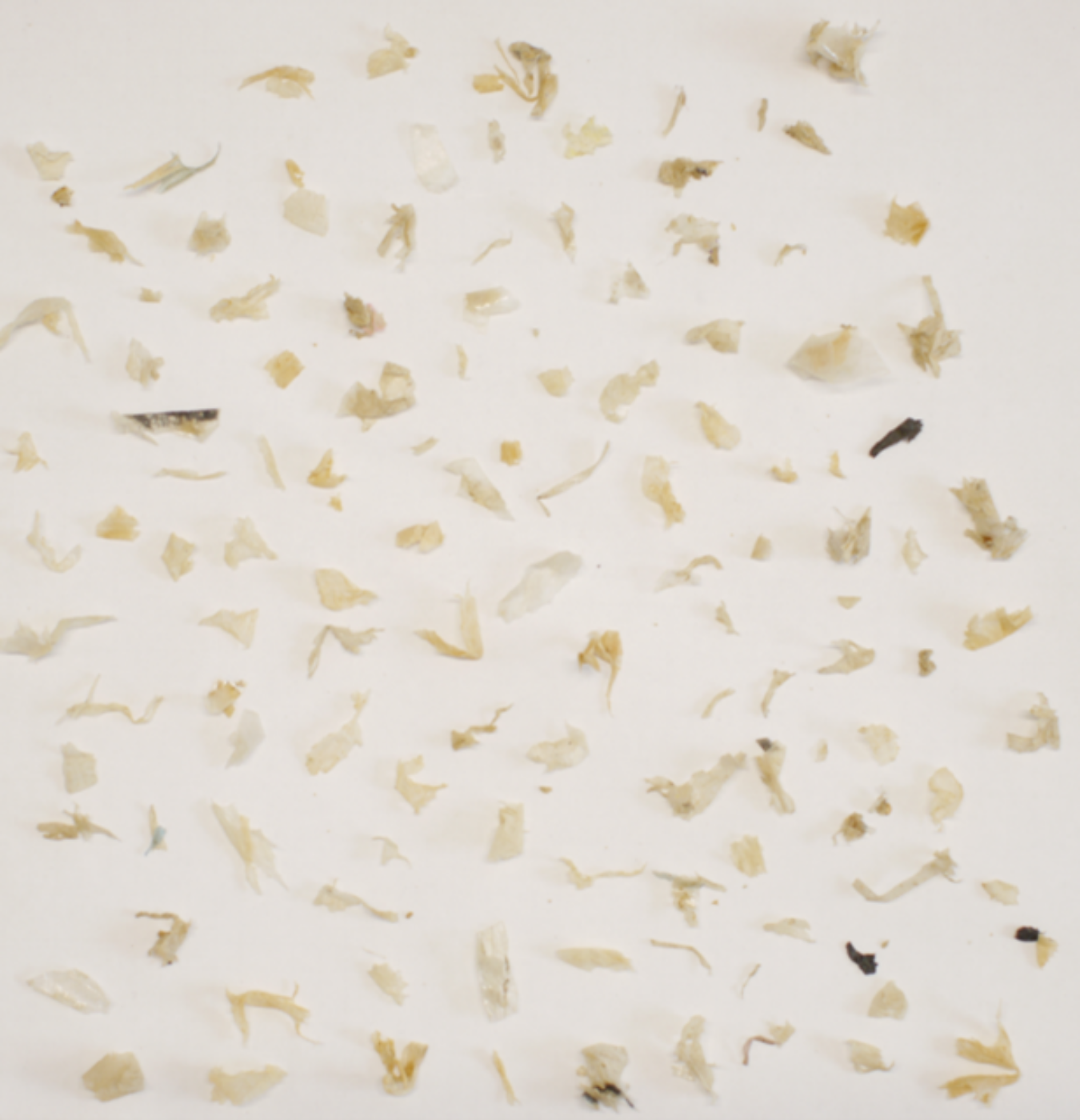 Visuelle Erfassung der Siebfraktion > 5 mm einer Probe