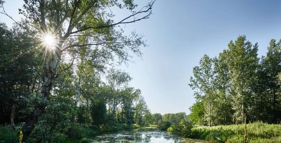  River landscape near Altenwörth
