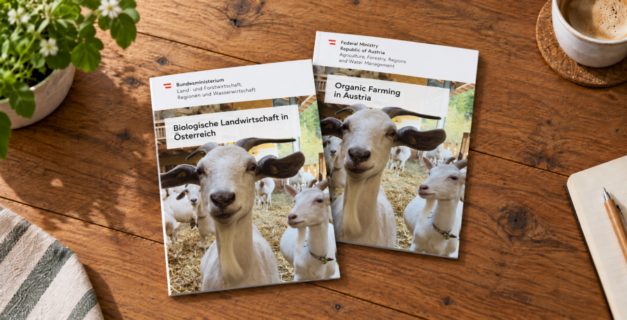 Die deutsche und die englische Biobroschüre des Landwirtschaftsministeriums liegen auf einem Tisch