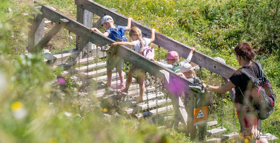 Kinder gehen über eine Brücke auf der Alm, Barfußwanderweg