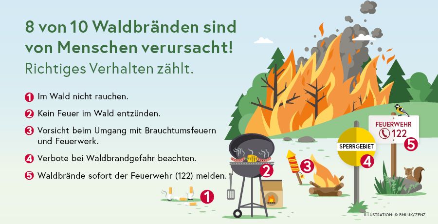 8 von 10 Waldbränden sind von Menschen verursacht.